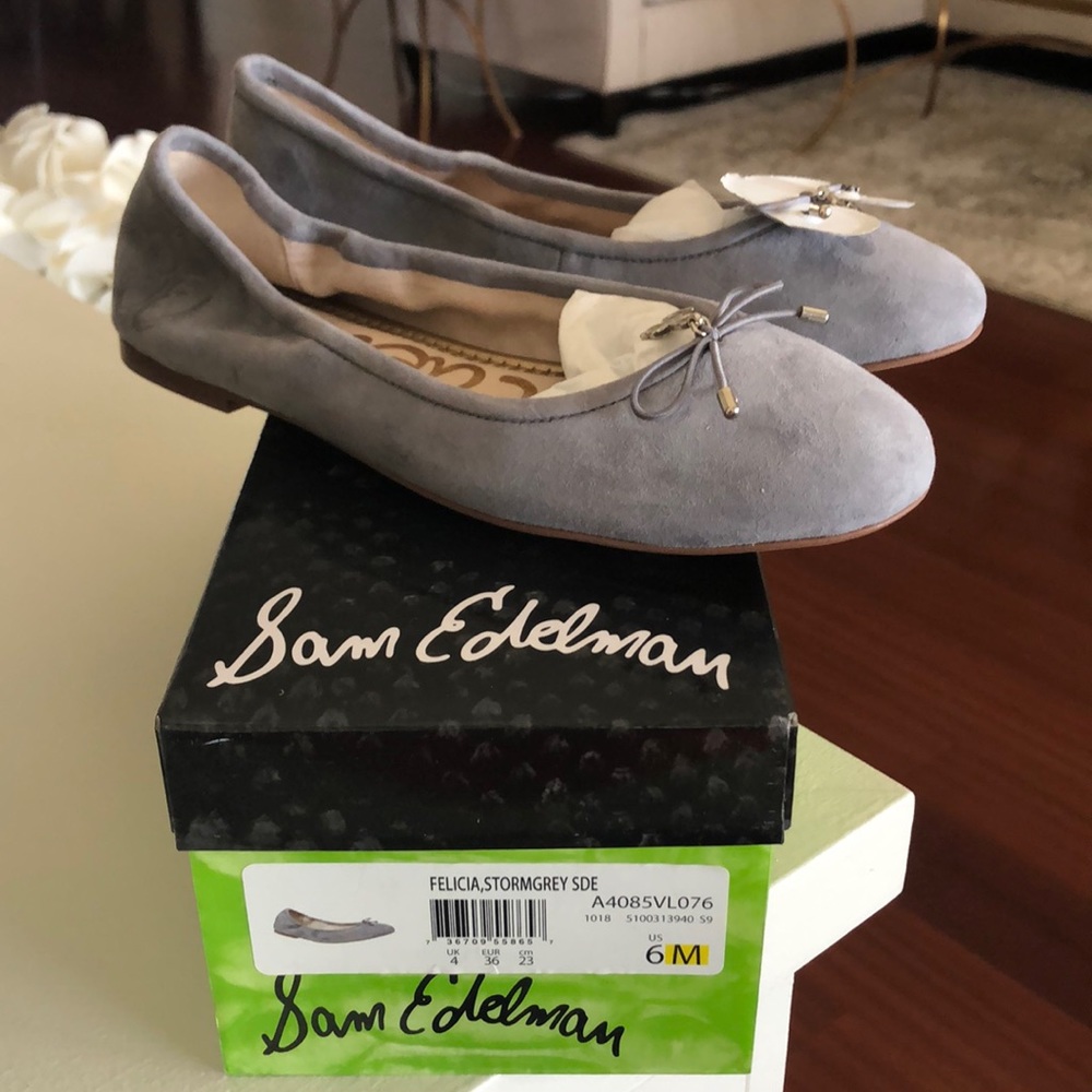 Sam Edelman Felicia Ballet Flat